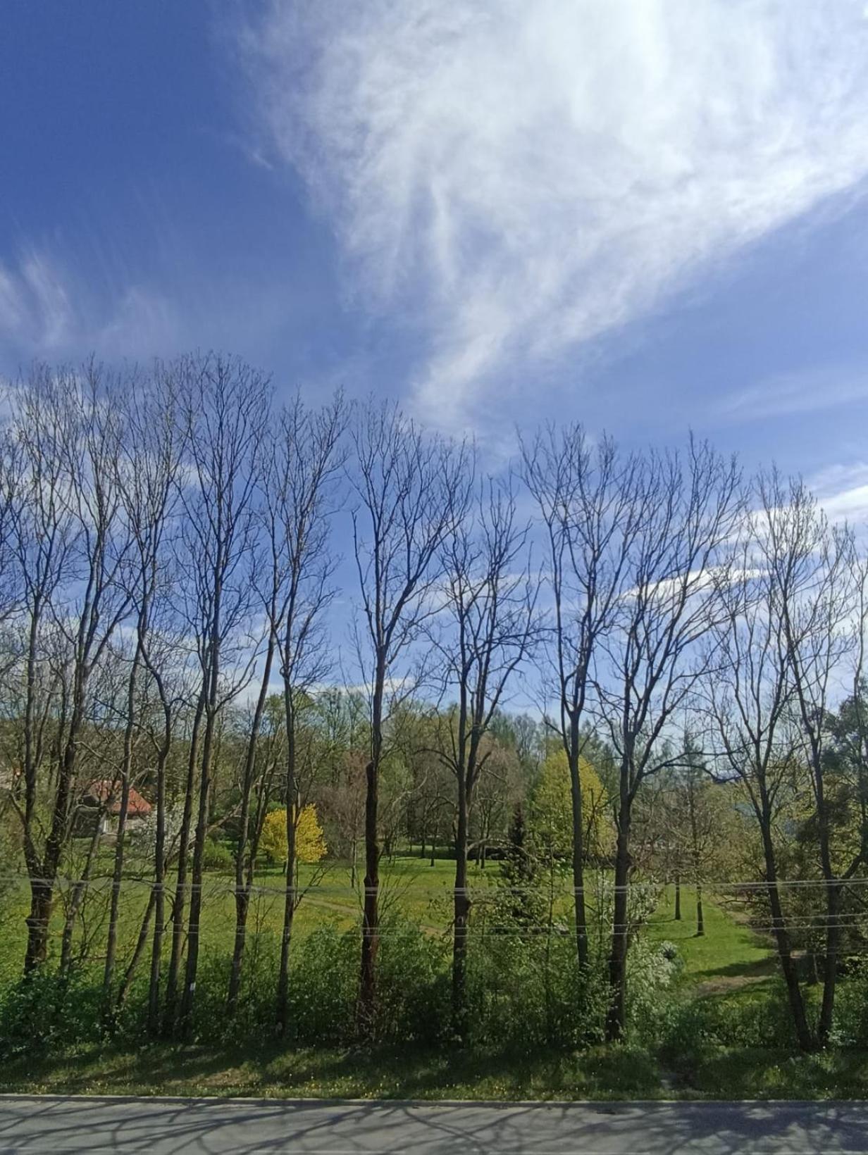 Apartament Aleja Lipowa Gorki Wielkie エクステリア 写真