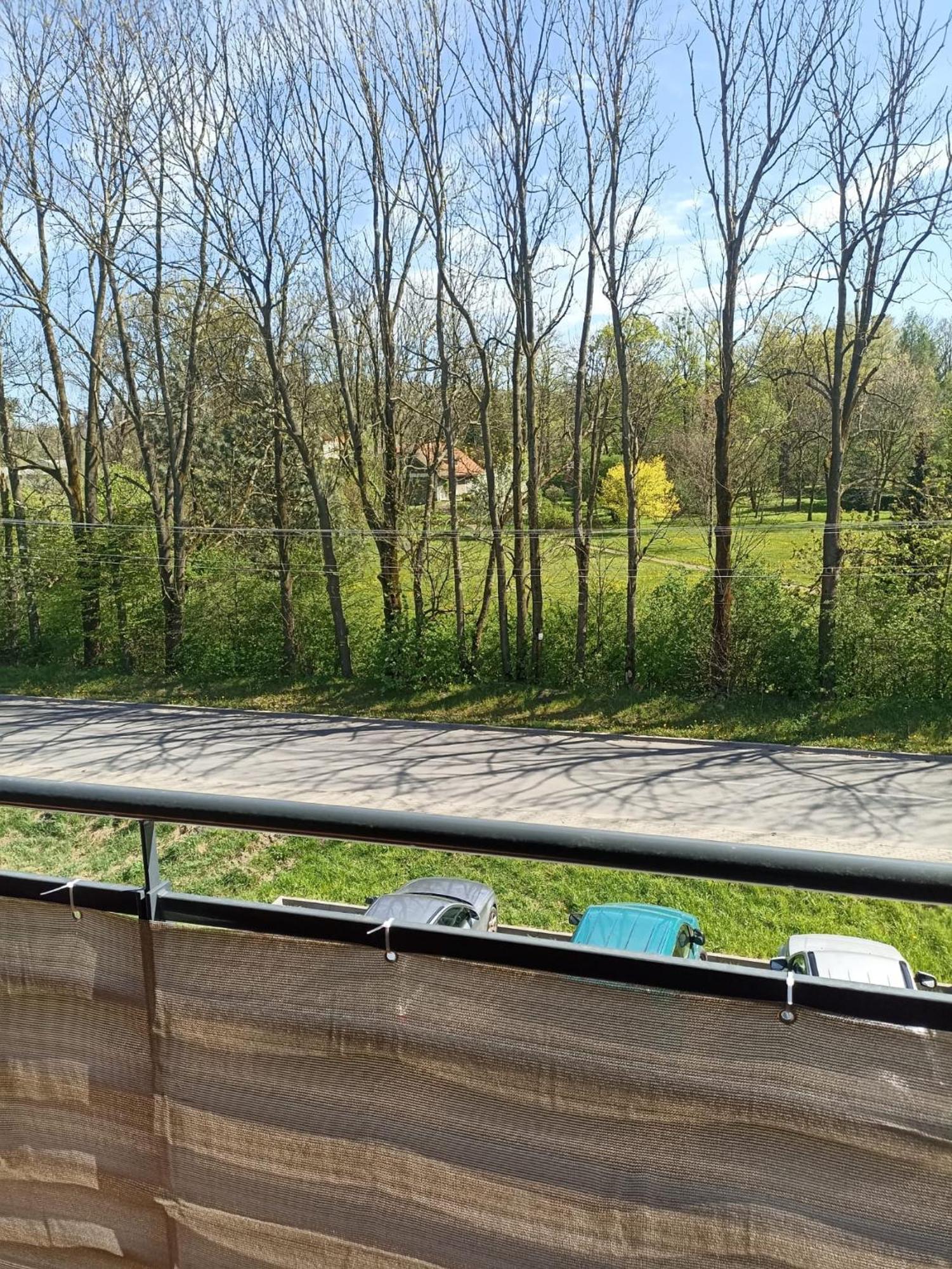 Apartament Aleja Lipowa Gorki Wielkie エクステリア 写真
