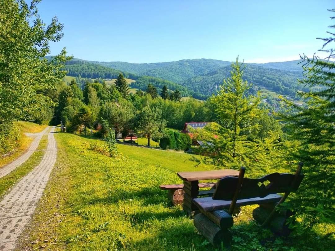 Apartament Aleja Lipowa Gorki Wielkie エクステリア 写真